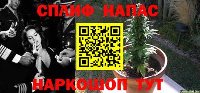 индика Ирбит