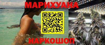 индика Ирбит