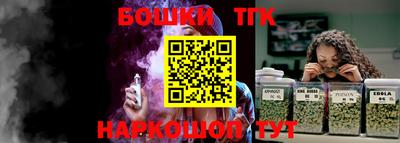 индика Ирбит