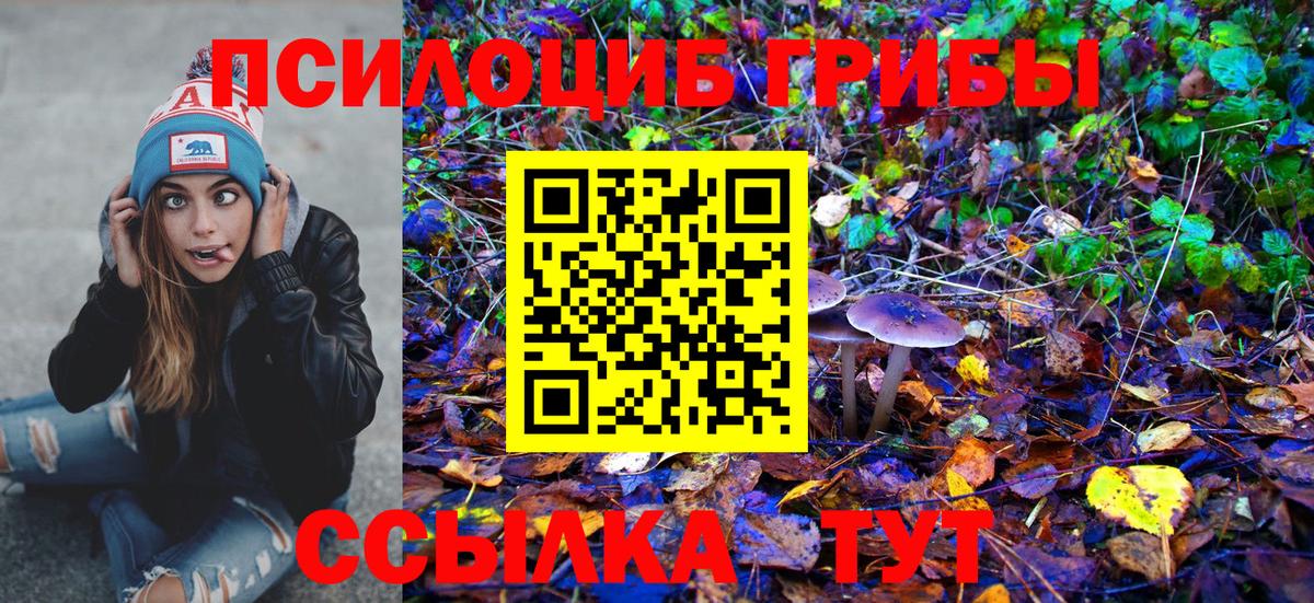 Псилоцибиновые грибы MAGIC MUSHROOMS Избербаш